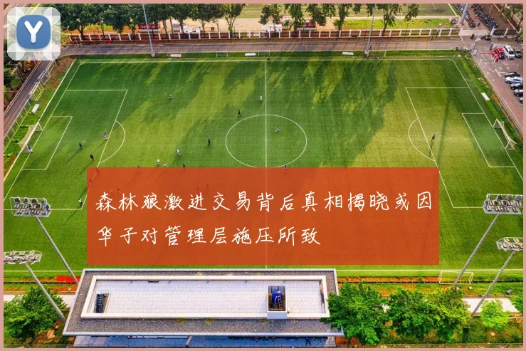 森林狼激进交易背后真相揭晓或因华子对管理层施压所致